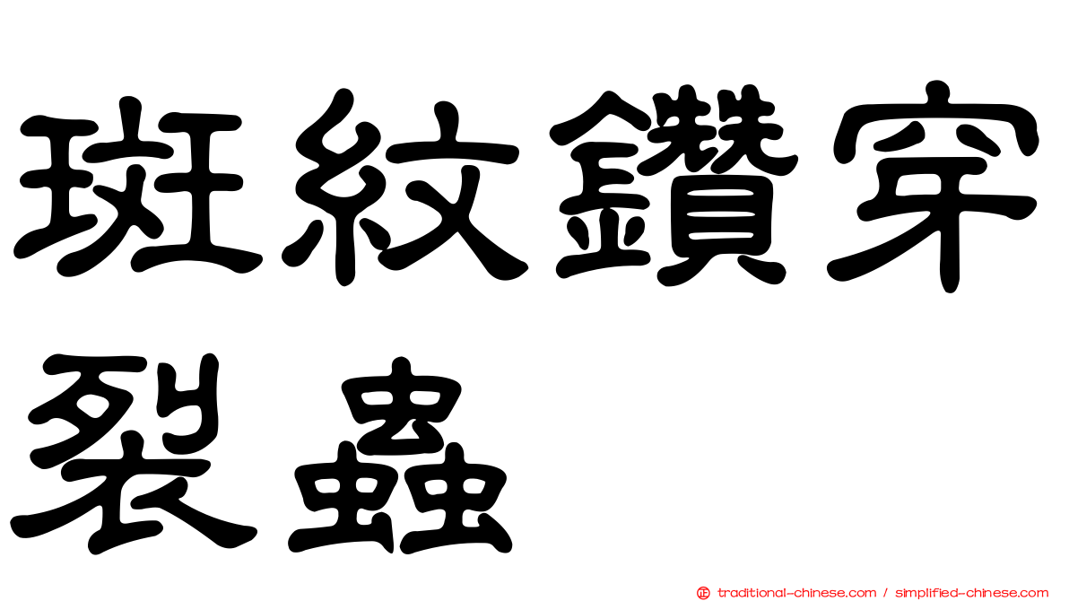 斑紋鑽穿裂蟲