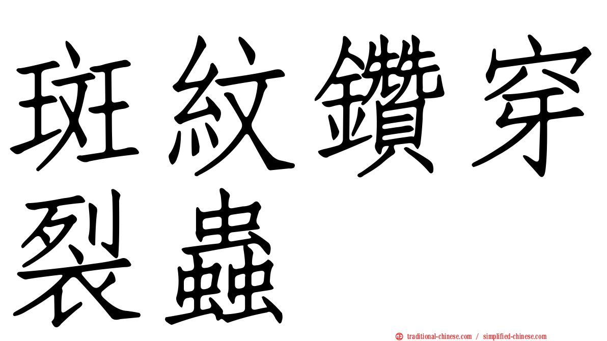 斑紋鑽穿裂蟲
