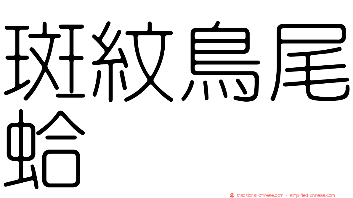 斑紋鳥尾蛤