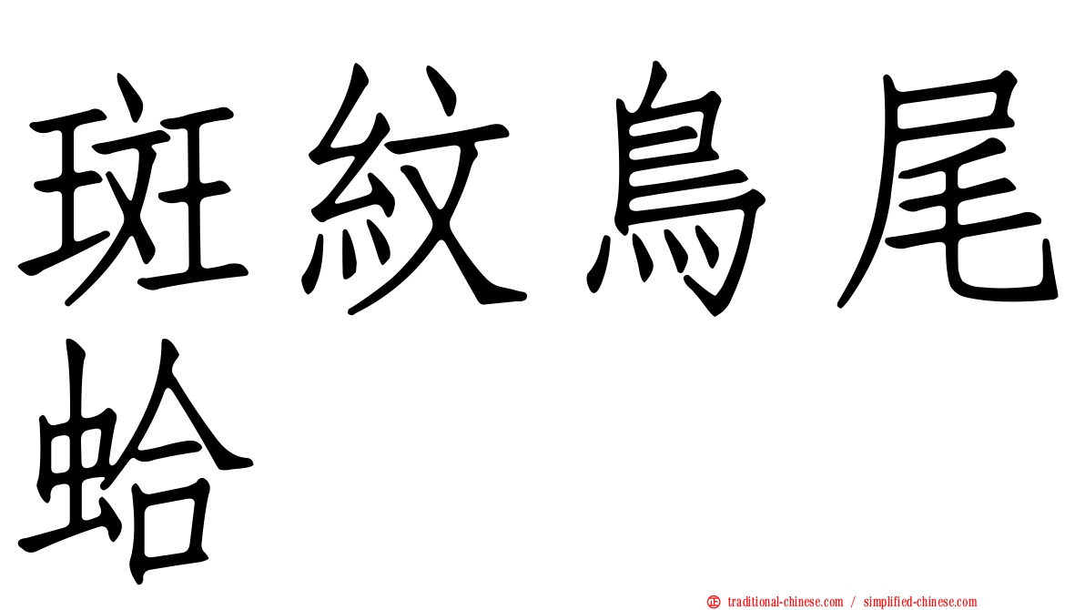 斑紋鳥尾蛤