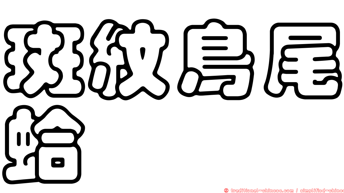 斑紋鳥尾蛤