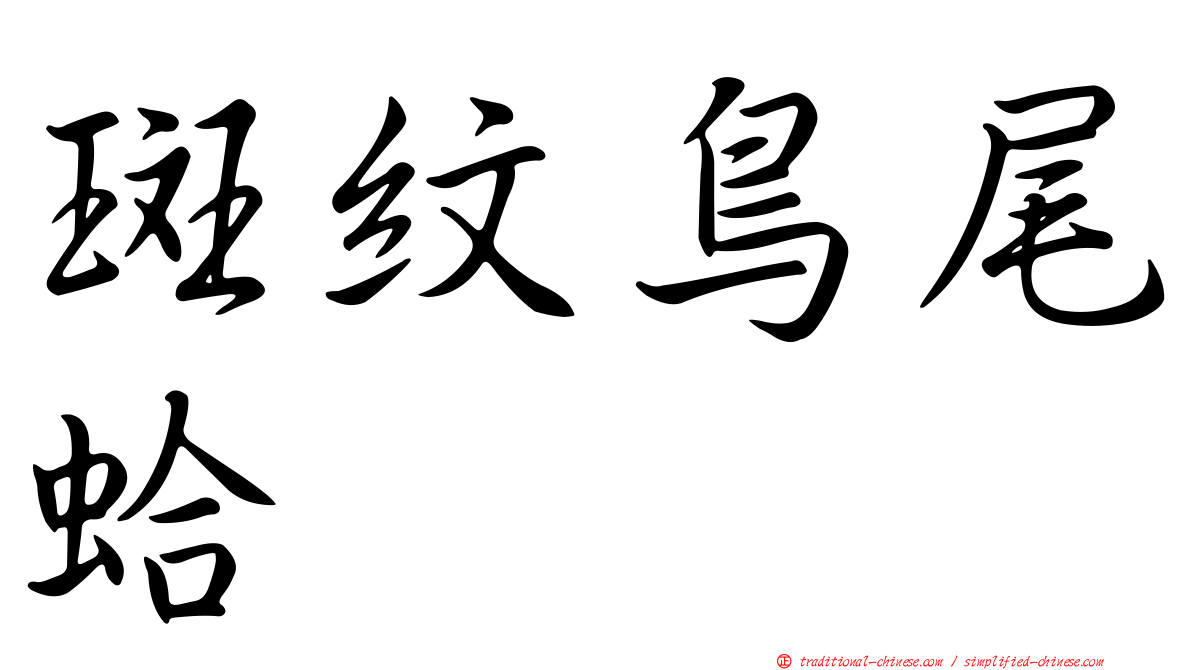 斑紋鳥尾蛤