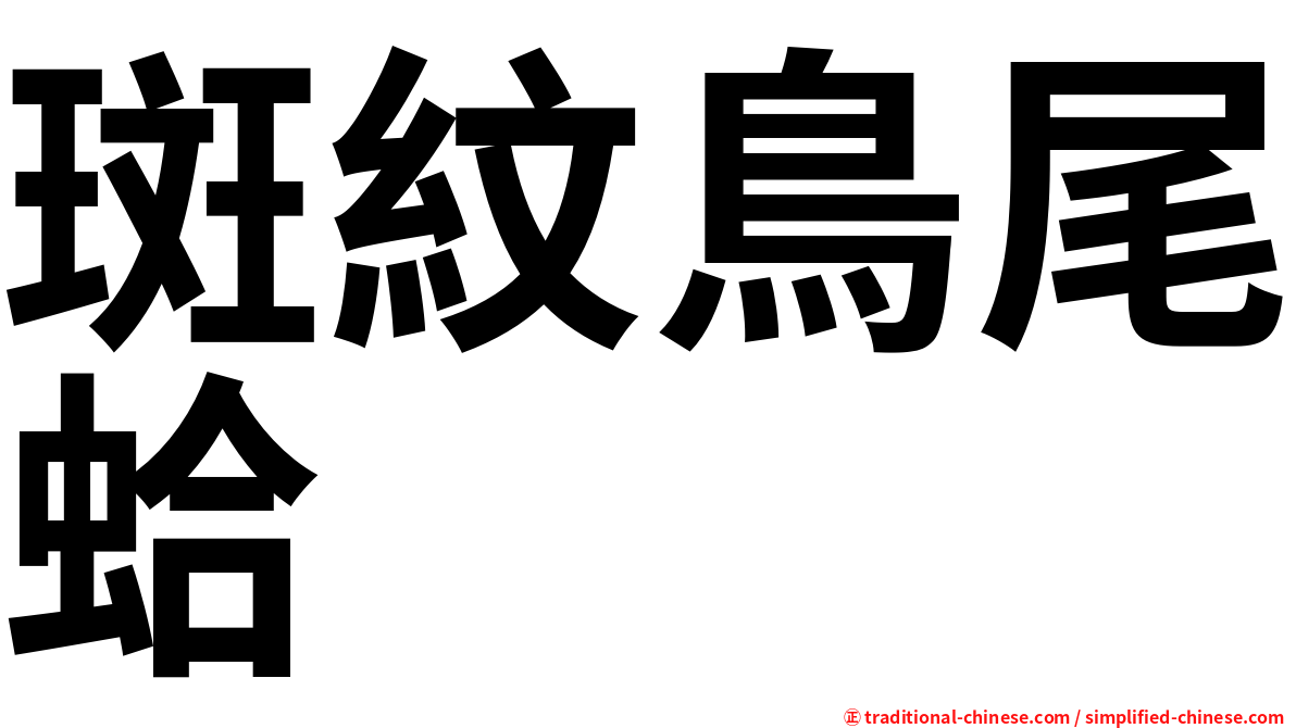 斑紋鳥尾蛤