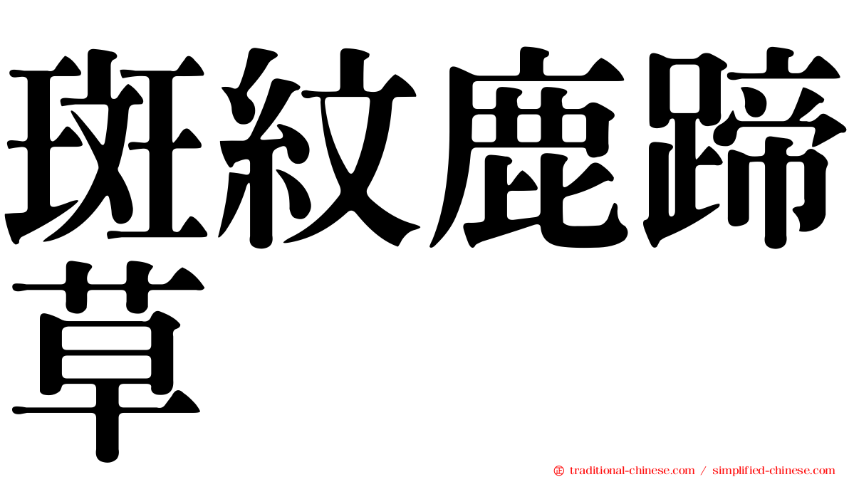 斑紋鹿蹄草