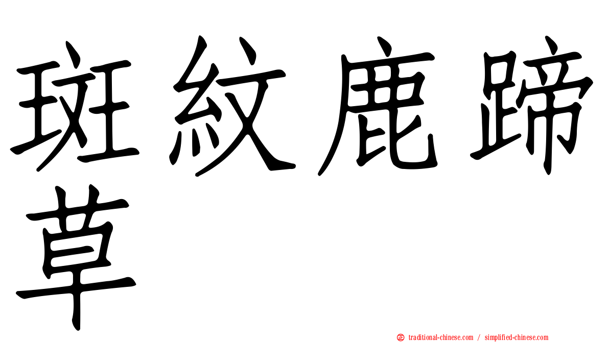 斑紋鹿蹄草