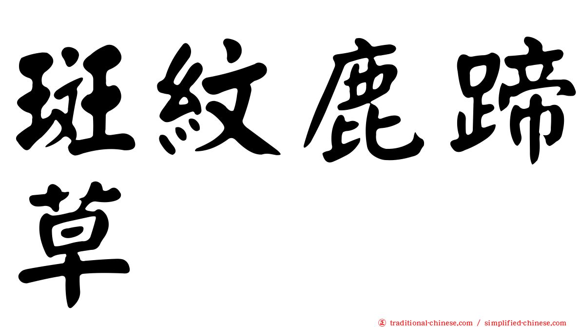 斑紋鹿蹄草