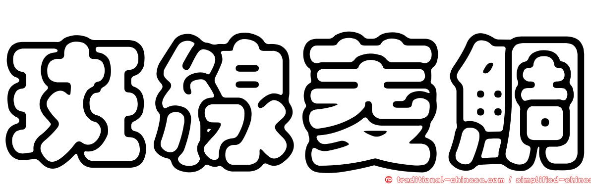 斑線菱鯛