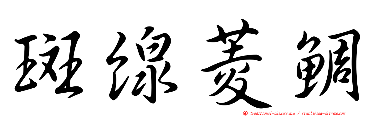 斑線菱鯛