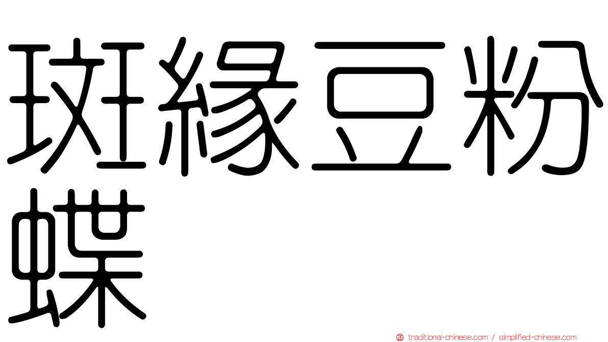 斑緣豆粉蝶
