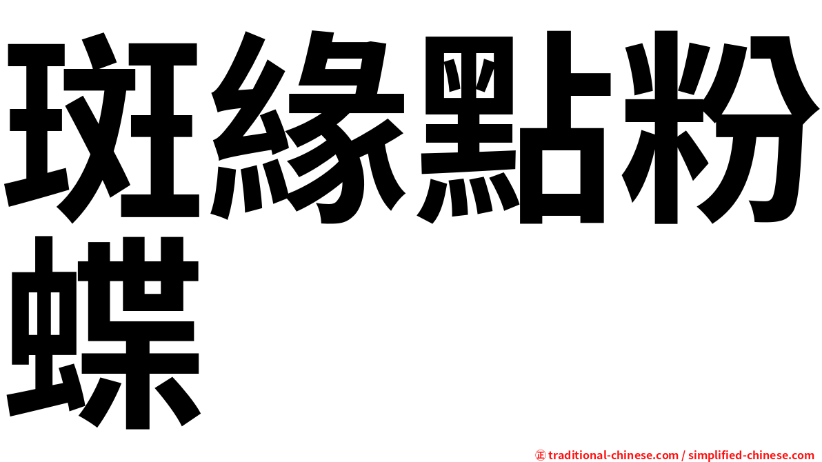 斑緣點粉蝶