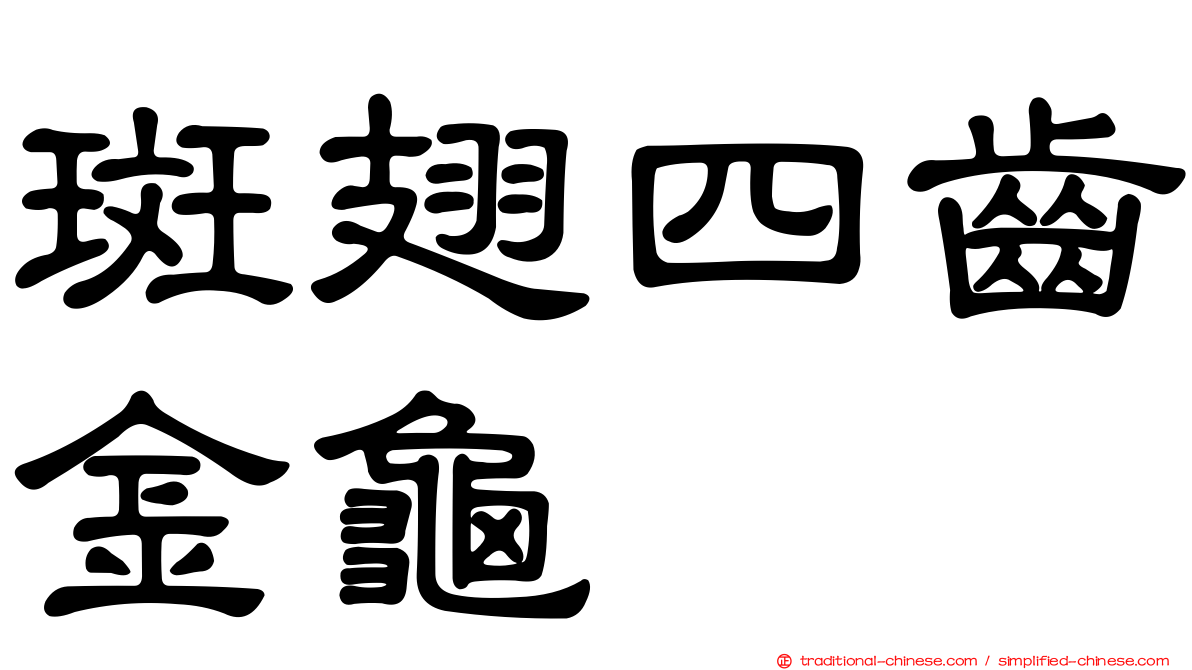 斑翅四齒金龜