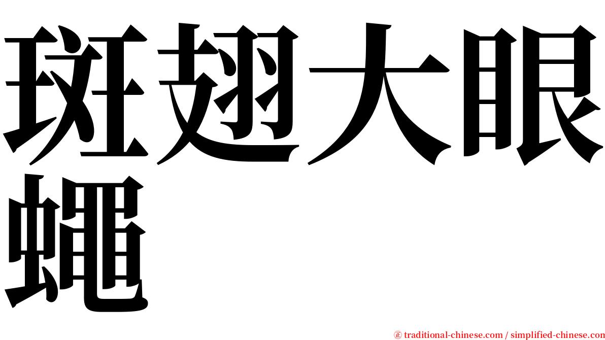 斑翅大眼蠅 serif font