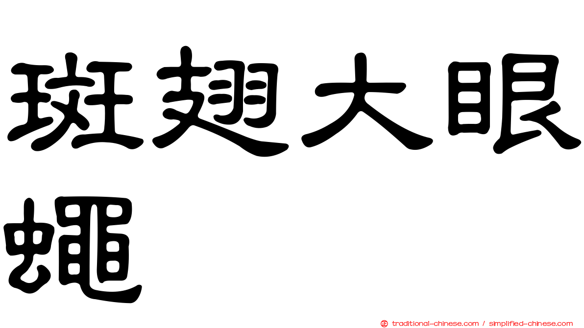 斑翅大眼蠅