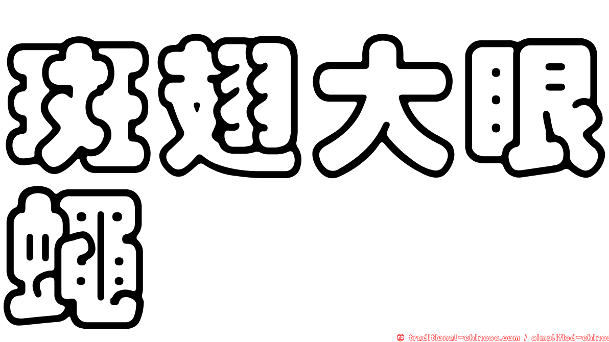 斑翅大眼蠅
