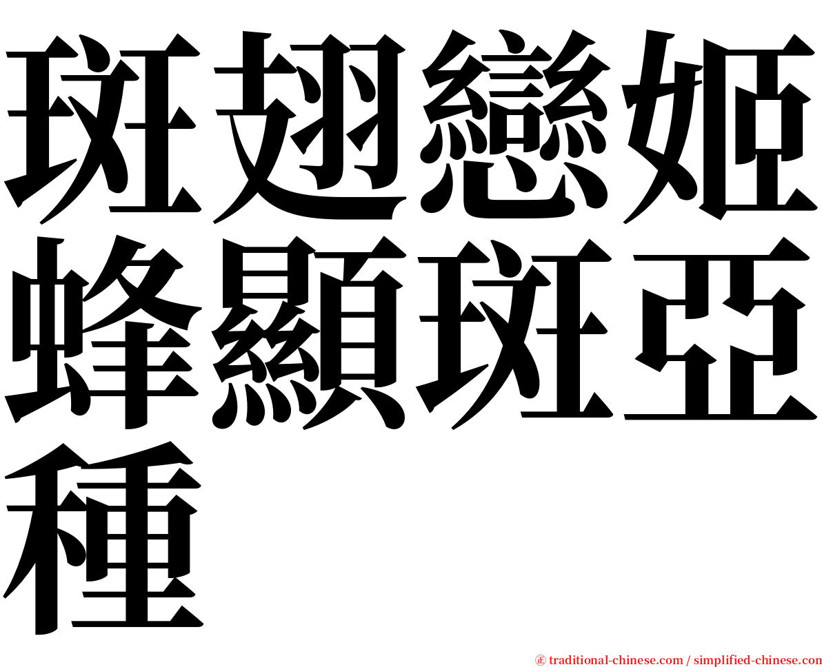 斑翅戀姬蜂顯斑亞種 serif font