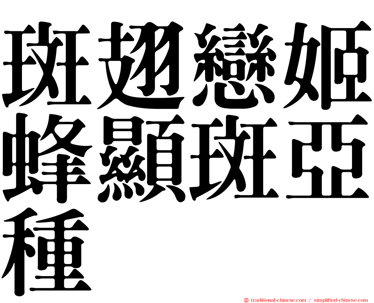 斑翅戀姬蜂顯斑亞種