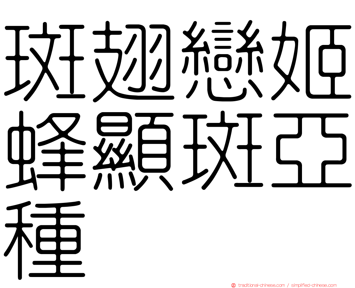 斑翅戀姬蜂顯斑亞種