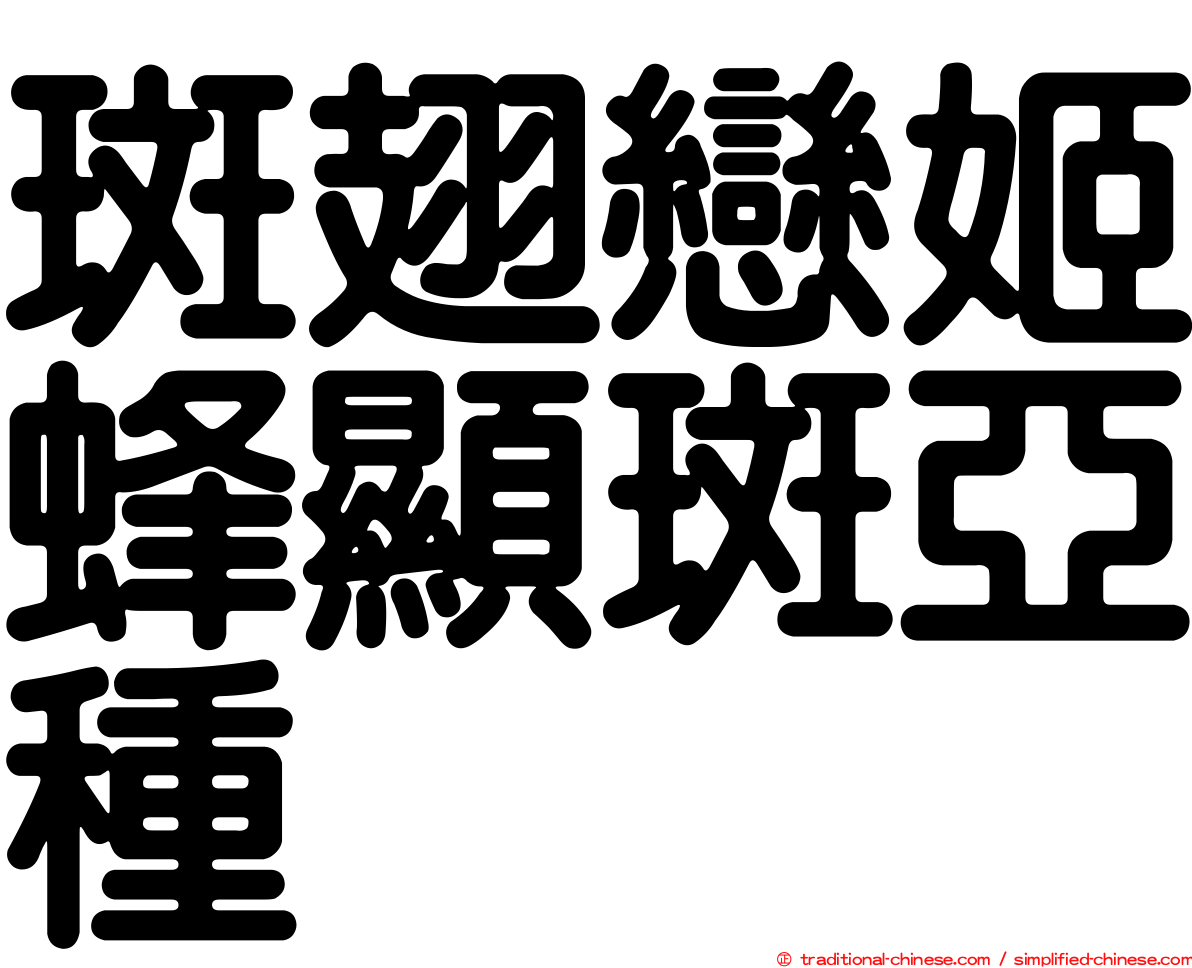 斑翅戀姬蜂顯斑亞種