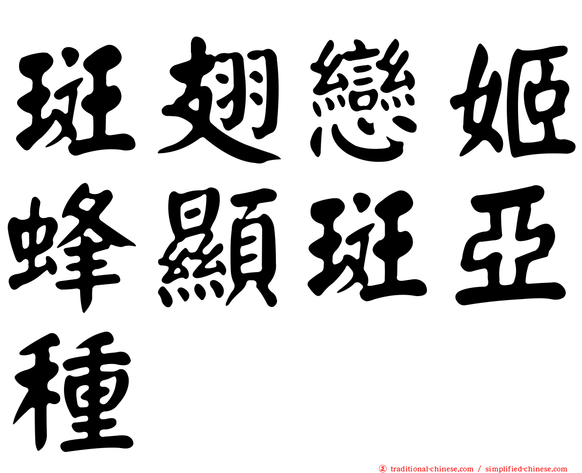 斑翅戀姬蜂顯斑亞種