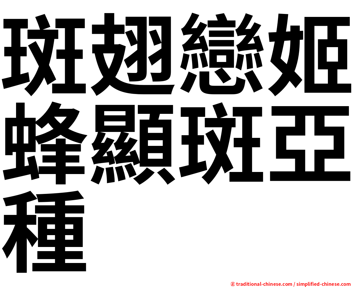 斑翅戀姬蜂顯斑亞種