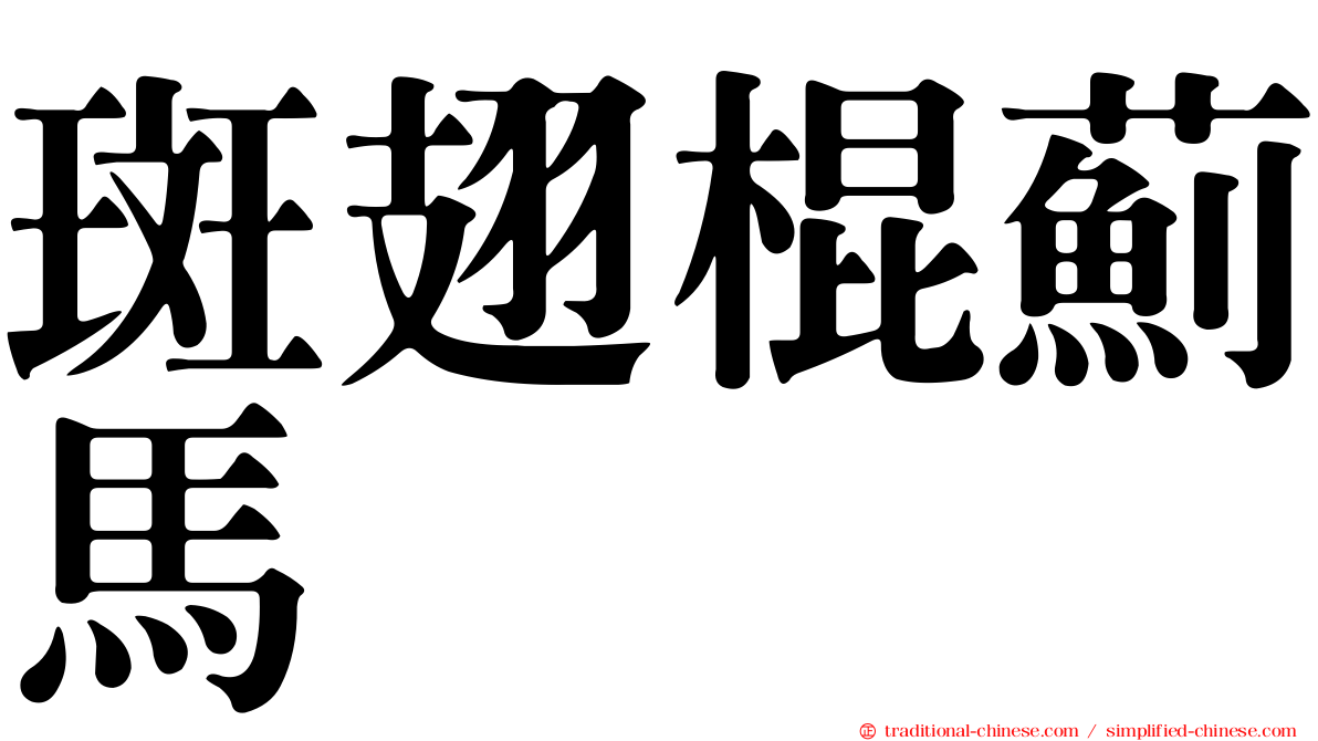 斑翅棍薊馬