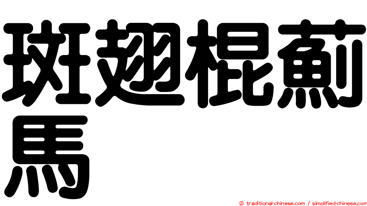 斑翅棍薊馬