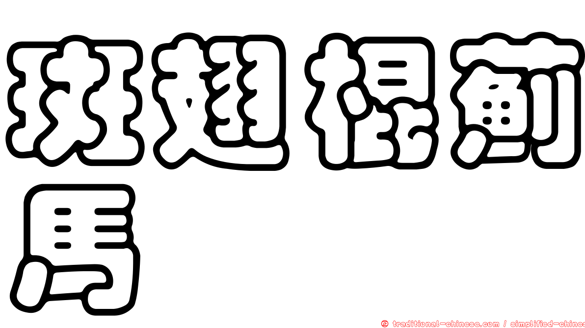 斑翅棍薊馬