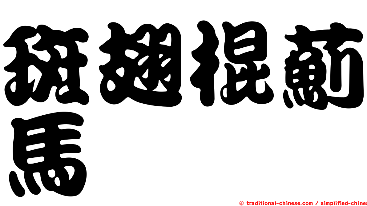 斑翅棍薊馬