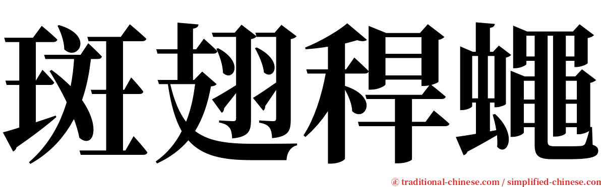 斑翅稈蠅 serif font