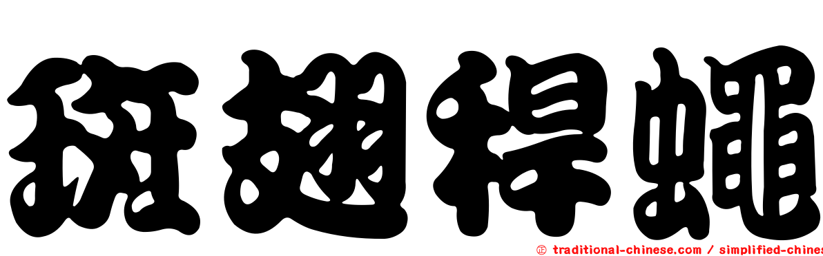 斑翅稈蠅