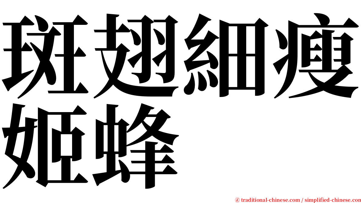 斑翅細瘦姬蜂 serif font
