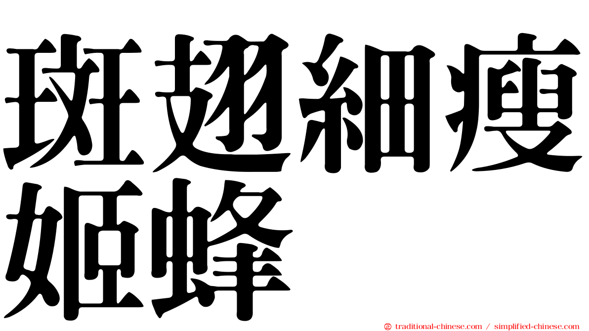 斑翅細瘦姬蜂