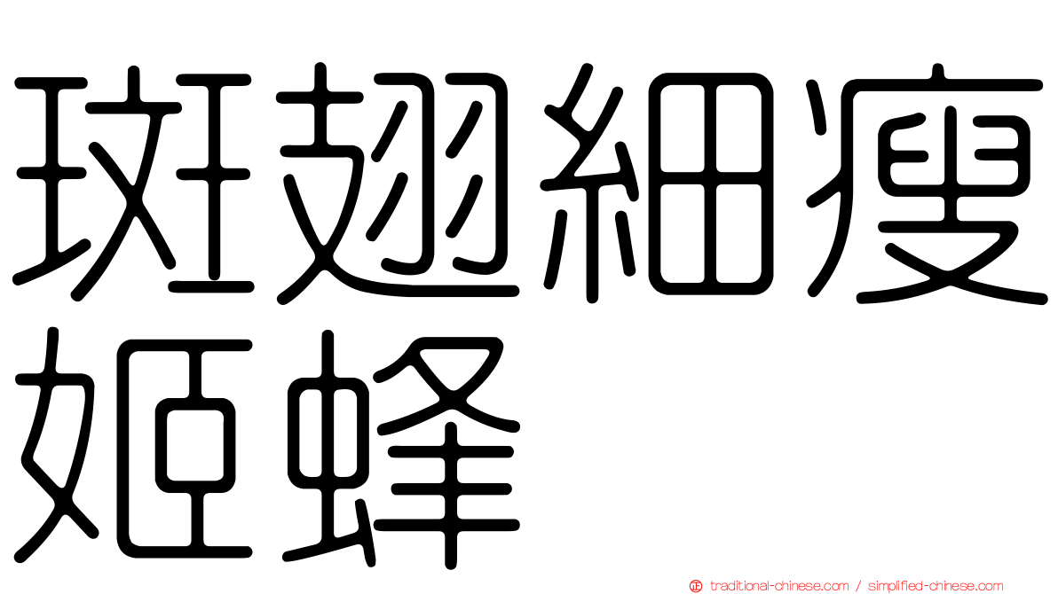 斑翅細瘦姬蜂