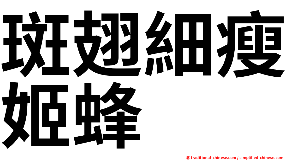 斑翅細瘦姬蜂