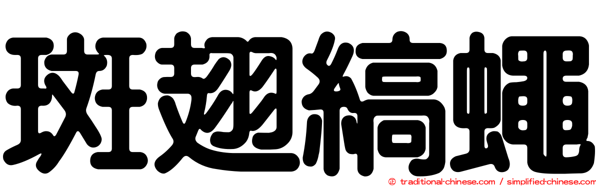 斑翅縞蠅