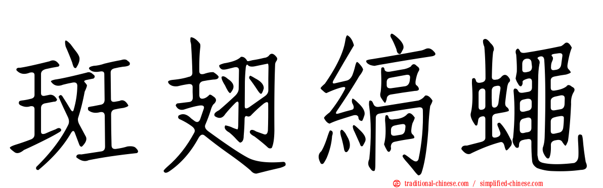 斑翅縞蠅