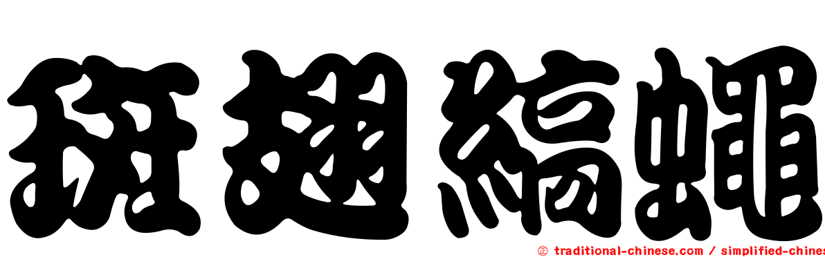 斑翅縞蠅