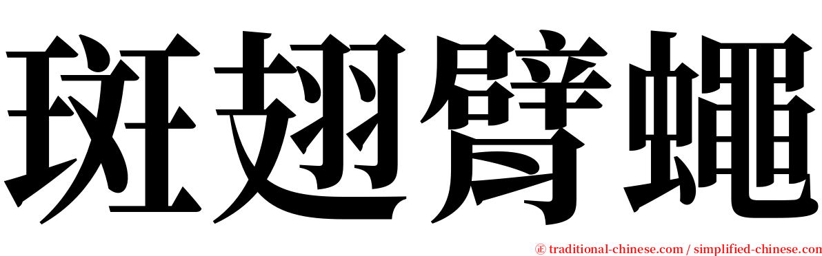 斑翅臂蠅 serif font