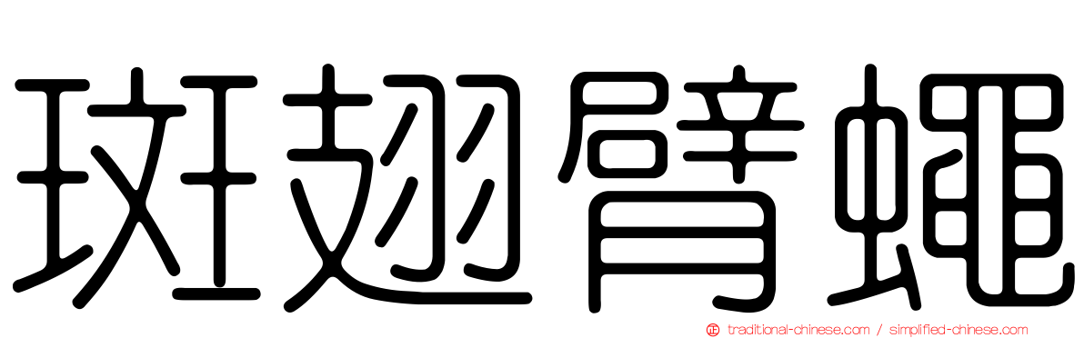 斑翅臂蠅