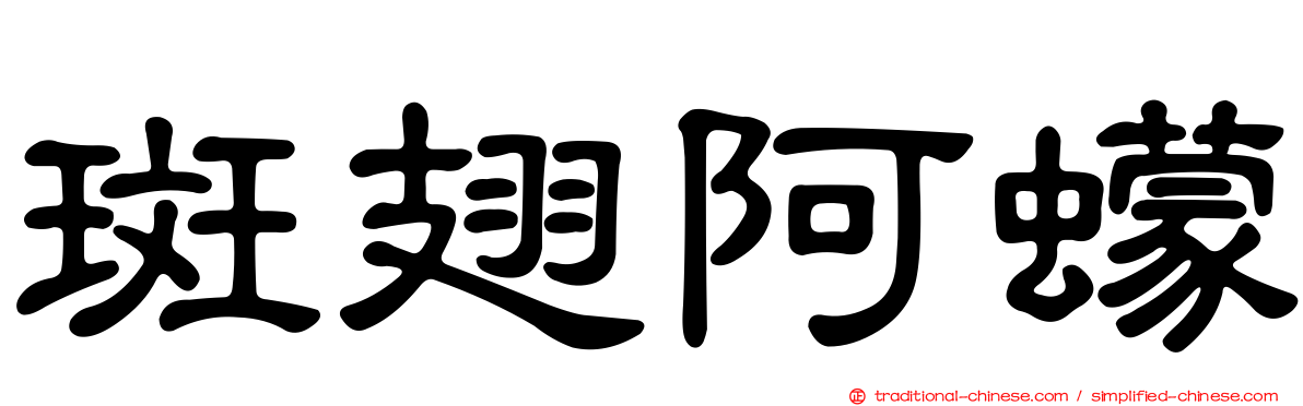 斑翅阿蠓