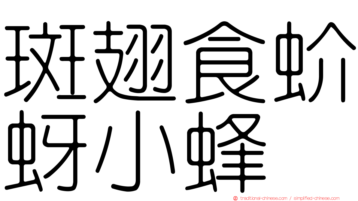 斑翅食蚧蚜小蜂