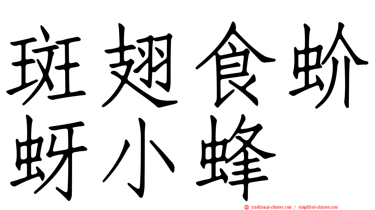 斑翅食蚧蚜小蜂