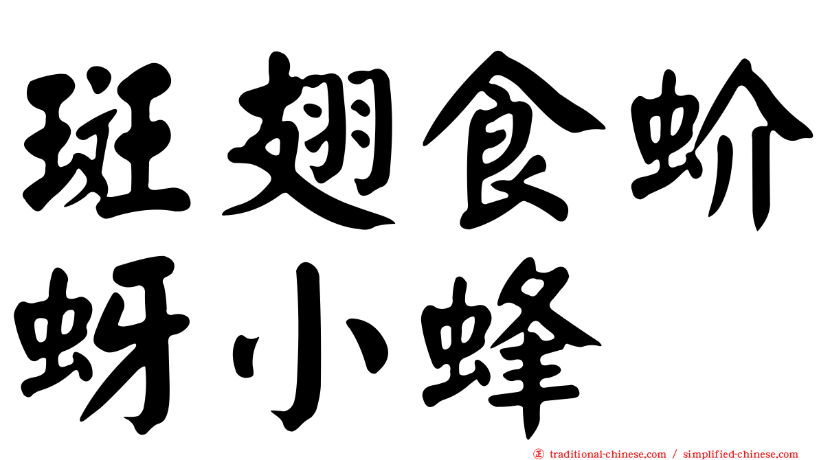 斑翅食蚧蚜小蜂