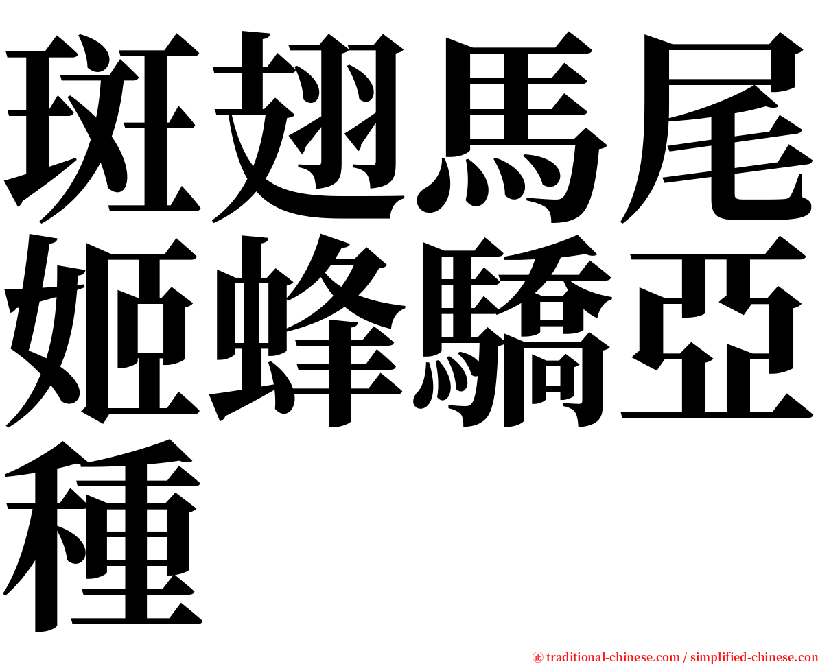 斑翅馬尾姬蜂驕亞種 serif font