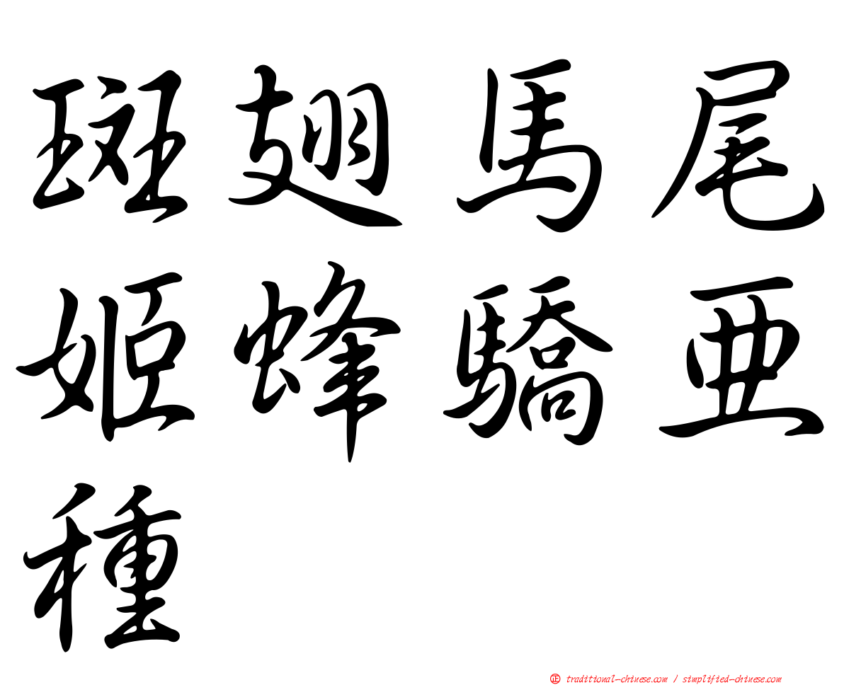 斑翅馬尾姬蜂驕亞種
