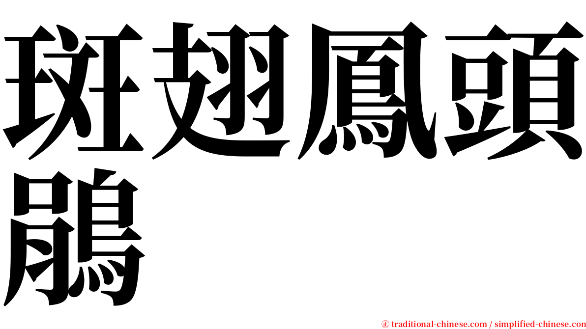 斑翅鳳頭鵑 serif font