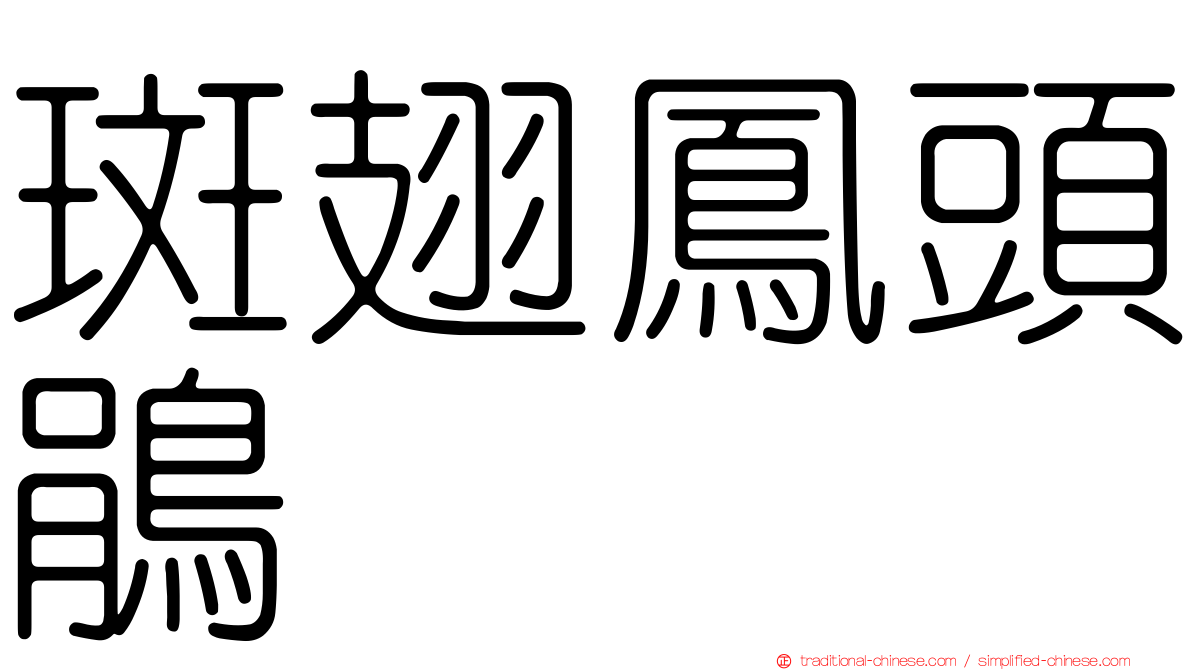 斑翅鳳頭鵑