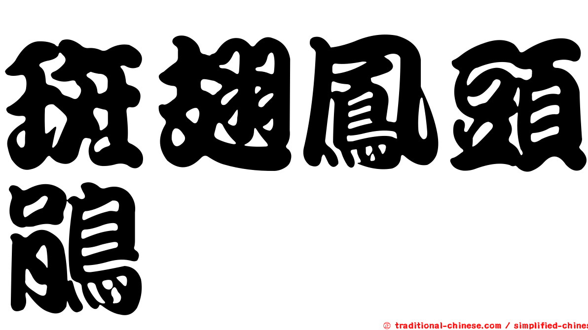 斑翅鳳頭鵑