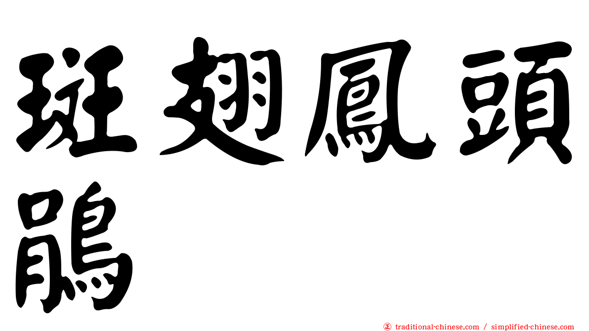 斑翅鳳頭鵑