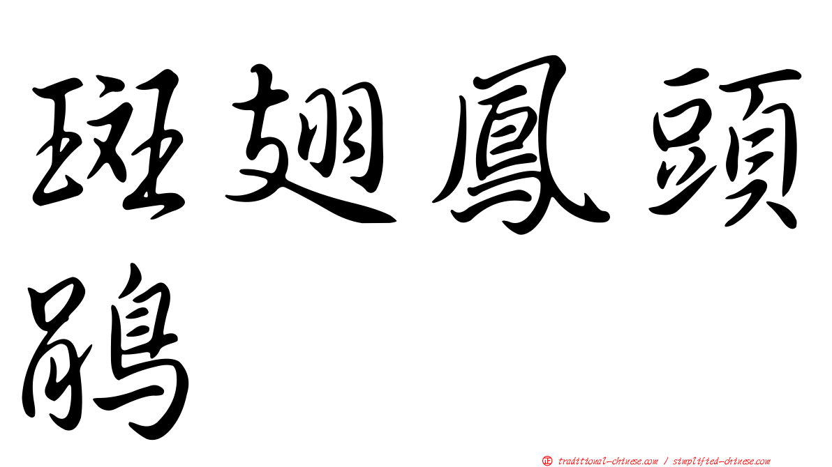 斑翅鳳頭鵑